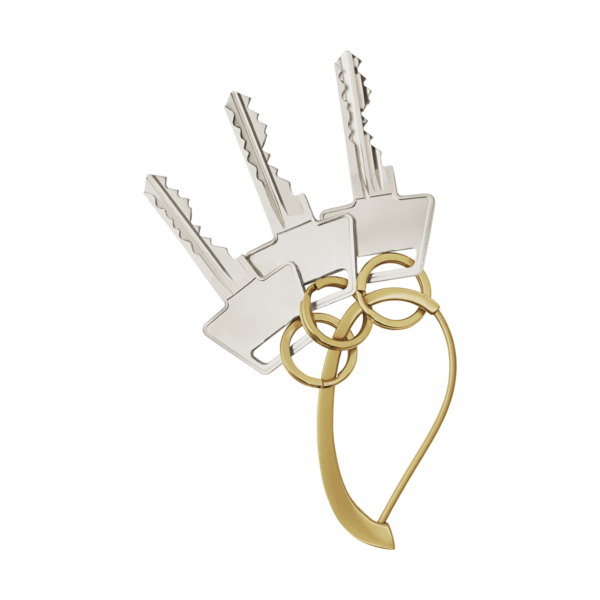 Technoliving - Soha többé ne felejtse el kulcsait a gyönyörűen kialakított Shades kulcstartóval. Elegáns és kifinomult, ez a meleg színű acél kulcstartó praktikus és gyönyörű, akár három kulccsal is könnyedén felhelyezhető vagy eltávolítható.